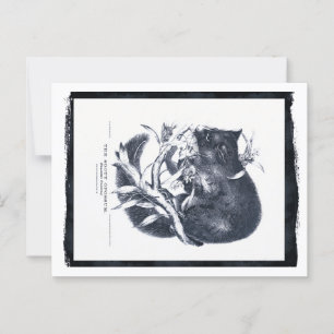 Postal El Opossum soososo