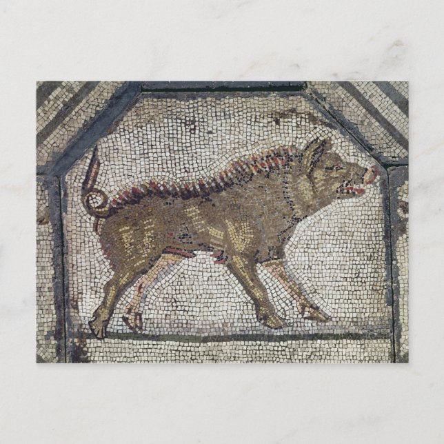 Postal El orfeo encantando a los animales (Anverso)