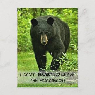 Postal El oso negro del patio trasero "¡No se puede sopor