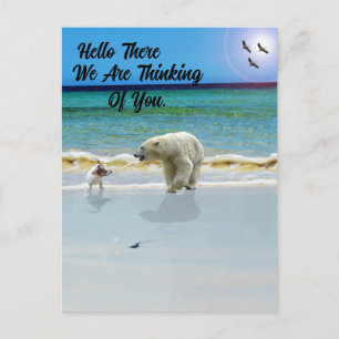 Postal El Oso Polar se reúne con Jack Russell, Hola Postc