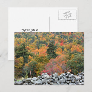Postal El otoño deja la pared de piedra personalizada