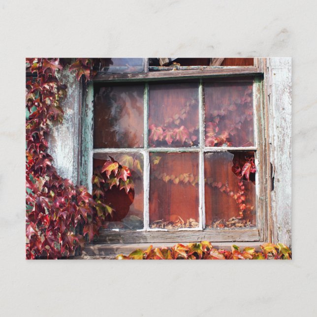 Postal El Otoño Rústico Vive En Contra De Una Vieja Tarje (Anverso)