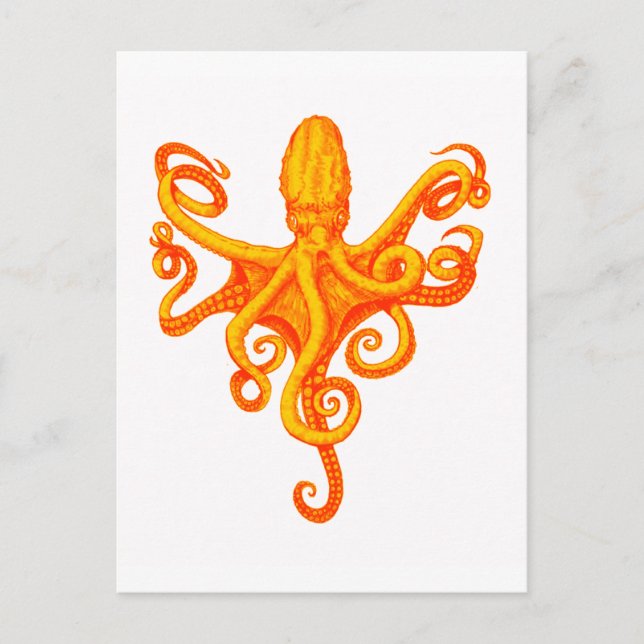 POSTAL EL OTOPUS SHINS (Anverso)