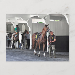 Postal El Paddock del Belmont Park