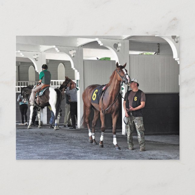Postal El Paddock del Belmont Park (Anverso)