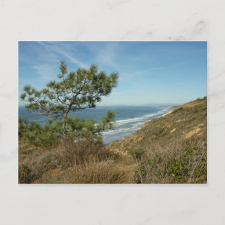Postal El paisaje costero de Torrey Pine y California