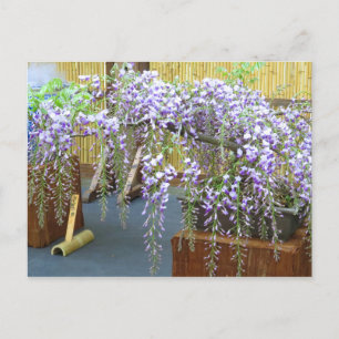 Postal El paisaje de Japón [postal]