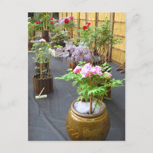 Postal El paisaje de Japón [postal] (Anverso)