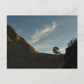 Postal El paisaje de Lone Torrey Pine California Sunset
