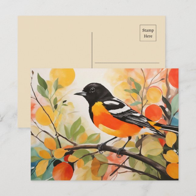 Postal El pájaro canoso Baltimore Oriole (Anverso / Reverso)