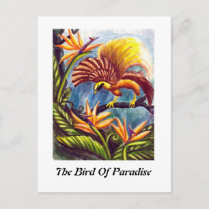 Postal El pájaro del paraíso