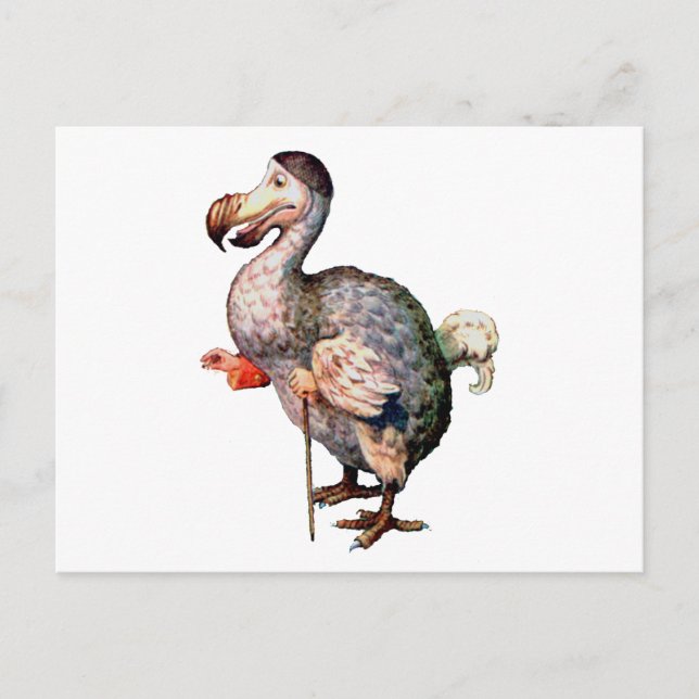 Postal El pájaro Dodo (Anverso)