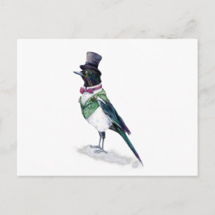 Postal El pájaro magpie de Victoria