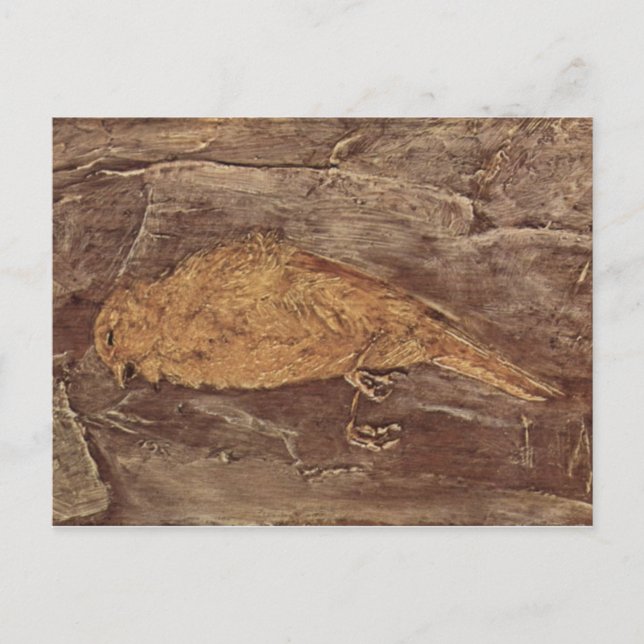 Postal El pájaro muerto (Anverso)