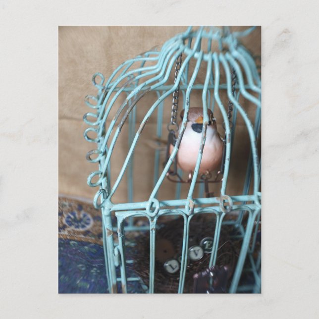 Postal El pájaro sostiene la llave (Anverso)