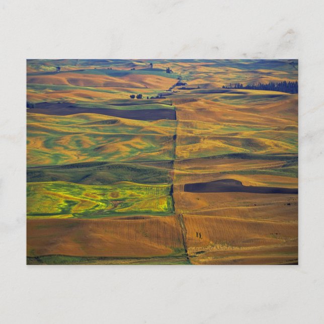 Postal El Palouse desde Steptoe Butte, Colfax, (Anverso)