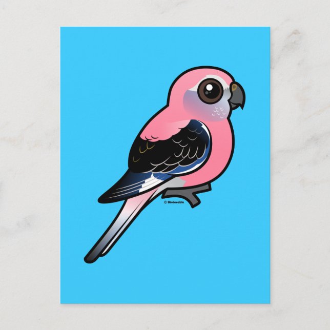 Postal El paracaídas de Bourke (Anverso)