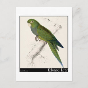 Postal El paracaídas enano de Edward Lear