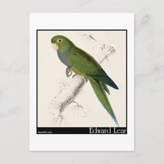 Postal El paracaídas enano de Edward Lear (Anverso)