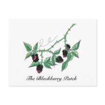El parche de Blackberry...Postcard