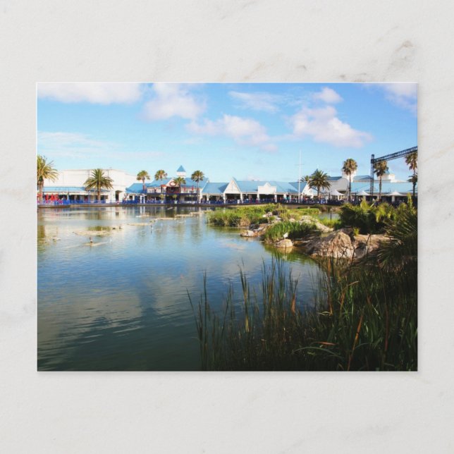 Postal El paseo marítimo en Port Elizabeth (Anverso)