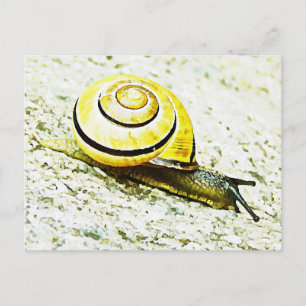 Postal El paso del caracol