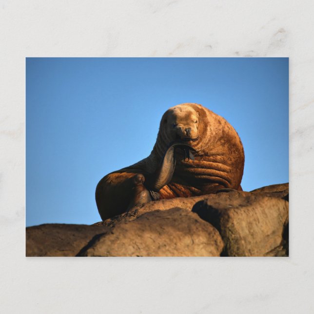 Postal El pensador (Anverso)