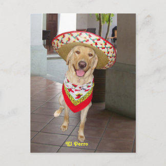 Postal El perro