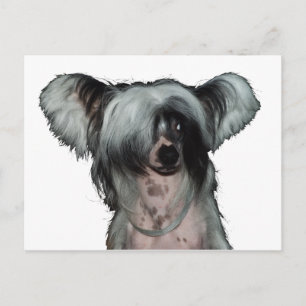 Postal El perro con cresta chino