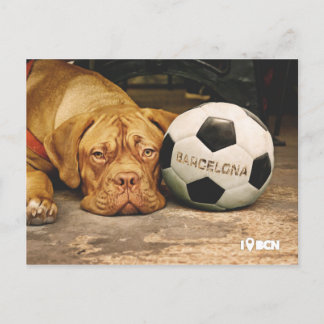 Postal El perro fanático del fútbol de Barcelona