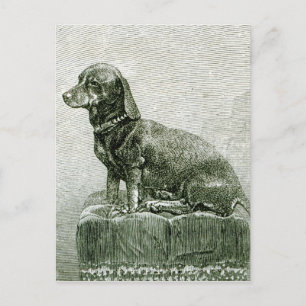 Postal El perro Jacob