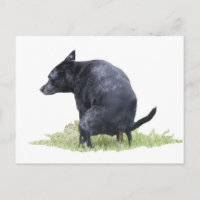 El perro que sopla