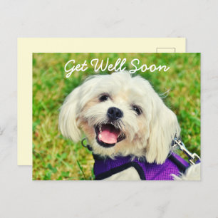 Postal El perro verde fresco y el estímulo se ponen bien