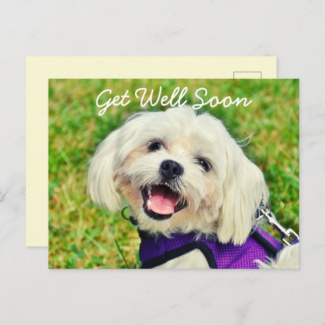 Postal El perro verde fresco y el estímulo se ponen bien (Anverso / Reverso)