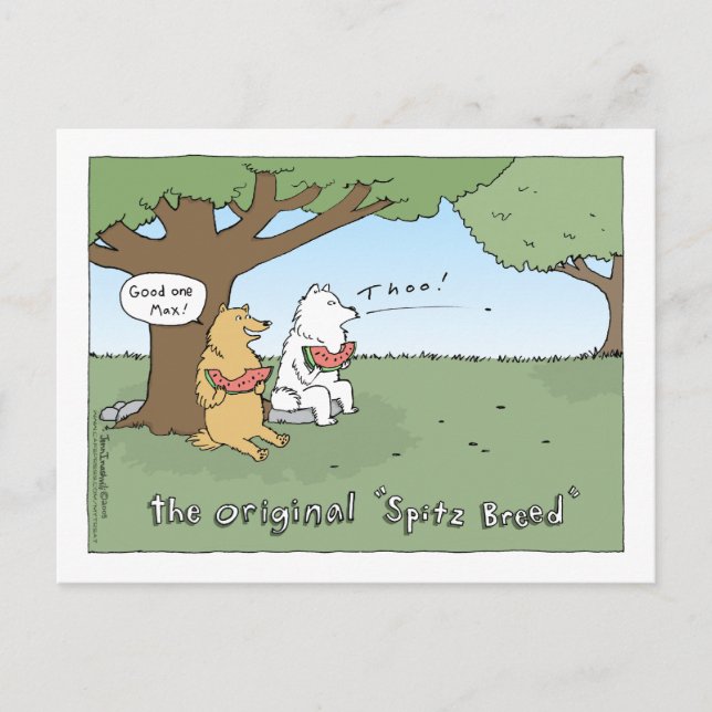 Postal El Personalizado original "Spitz Breed" (Anverso)