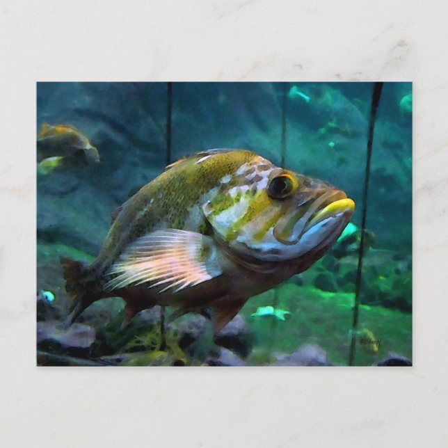 Postal El pescado (Anverso)