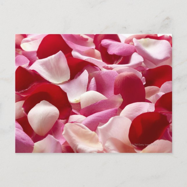 Postal El pétalo que se extendió (Anverso)