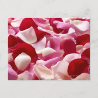 El pétalo que se extendió