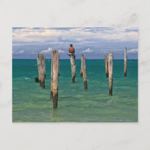 Postal El Pier En La Playa De Coqueiros En Trancoso