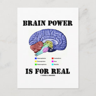 Postal El Poder Cerebral Es Para La Realidad (Actitud De 