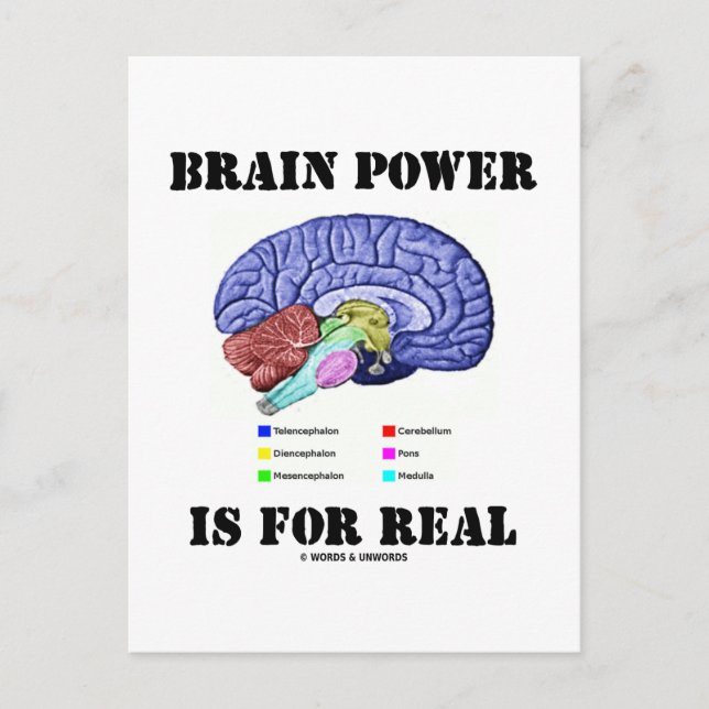 Postal El Poder Cerebral Es Para La Realidad (Actitud De  (Anverso)