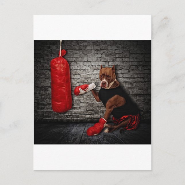 Postal El pozo de boxeo (Anverso)