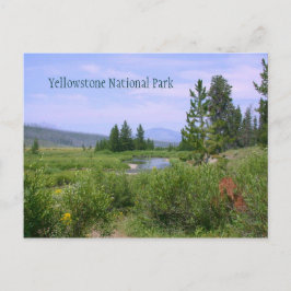 Postal El prado de verano en Yellowstone