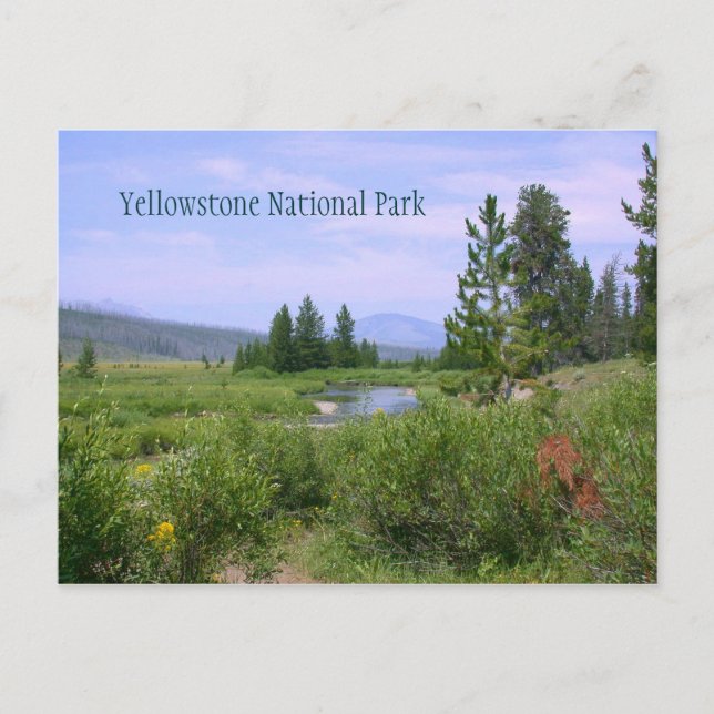 Postal El prado de verano en Yellowstone (Anverso)