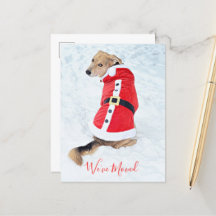 El presupuesto mueve a Navidades perro en la fiest