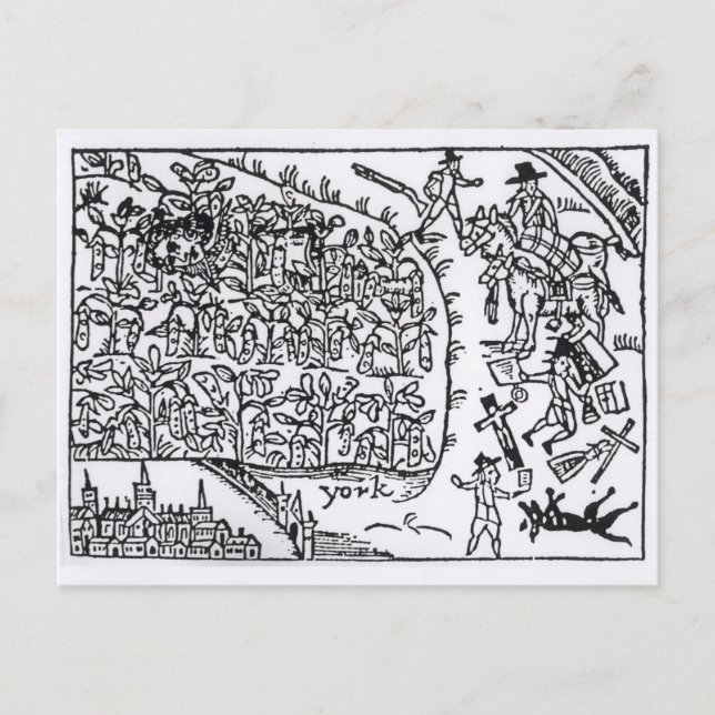 Postal El príncipe Rupert escondido en un frasco (Anverso)