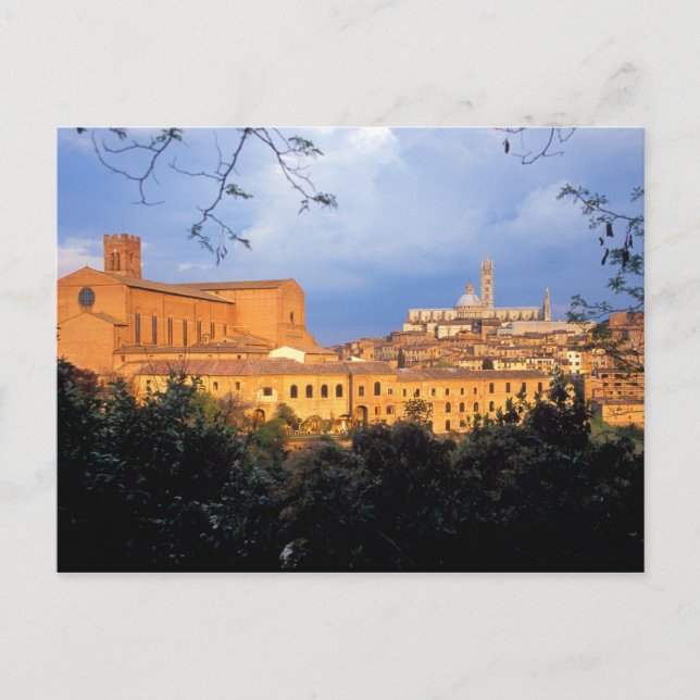 Postal El pueblo toscano de Sienna, Italia. (Anverso)