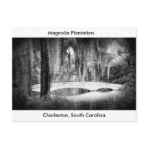 El puente de Magnolia