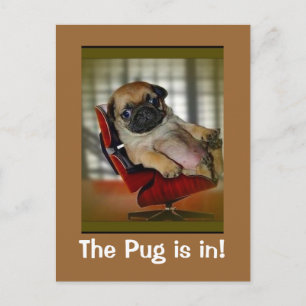 Postal ¡El Pug está adentro!