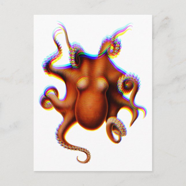 Postal El pulpo gigante fringado (Anverso)